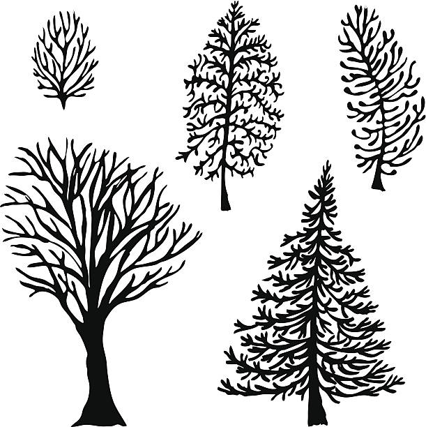Cinco de árboles - ilustración de arte vectorial