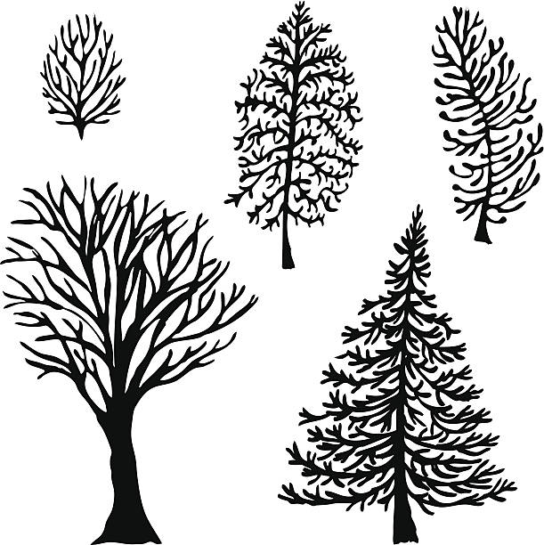 Cinq des arbres - Illustration vectorielle