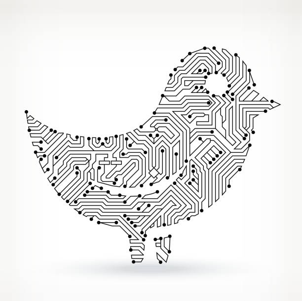 circuit board twitter bird - twitter 幅插畫檔、美工圖案、卡通及圖標