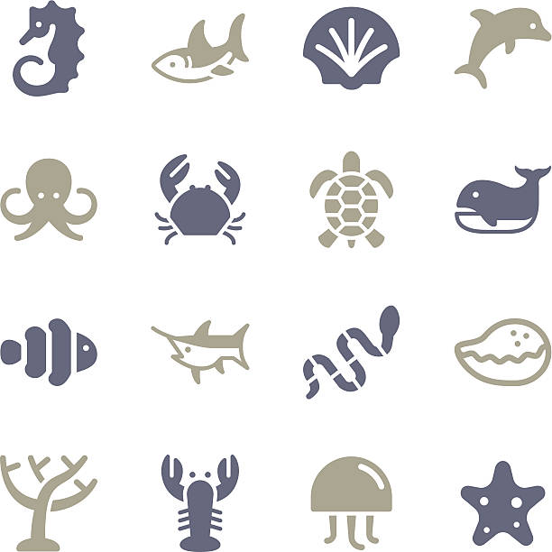 ilustraciones, imágenes clip art, dibujos animados e iconos de stock de marine life icons/set-serie color - coral snake