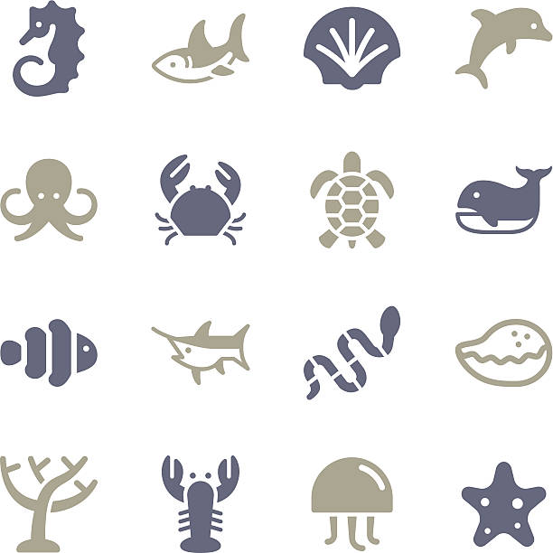 해운용 생은 아이콘/set-백색과 시리즈 - computer icon symbol sea life prepared crab stock illustrations