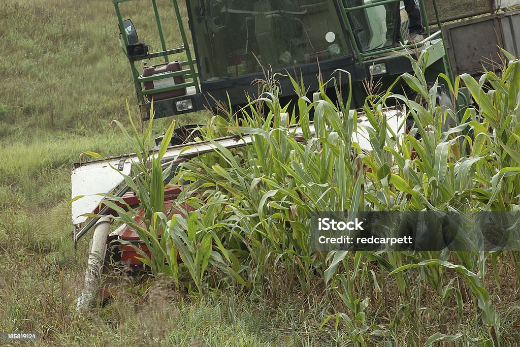 Equipos agrícolas maíz seccionador corte harvest - Foto de stock de Agricultura libre de derechos