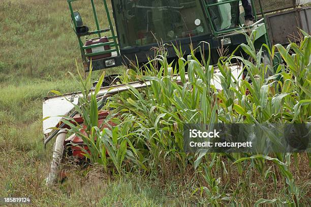 Attrezzatura Agricola Mais Raccolto Di Taglio Chopper - Fotografie stock e altre immagini di Agricoltura
