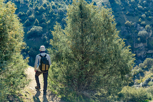 Parque regional de la Cuenca Alta del Manzanares, Hoyo de Manzanares, Madrid, Spain. High angle and rear view of a hiker with a backpack and hat on a trail contemplating a wooded valley.