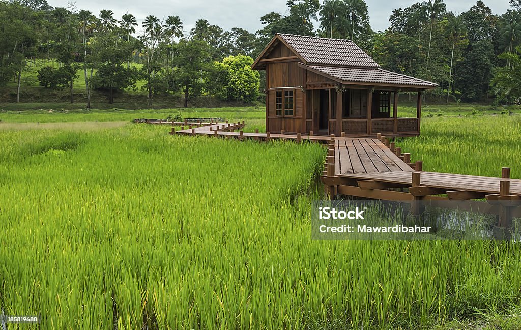 Casa de madeira de campo paddy - Royalty-free Agrafo Foto de stock