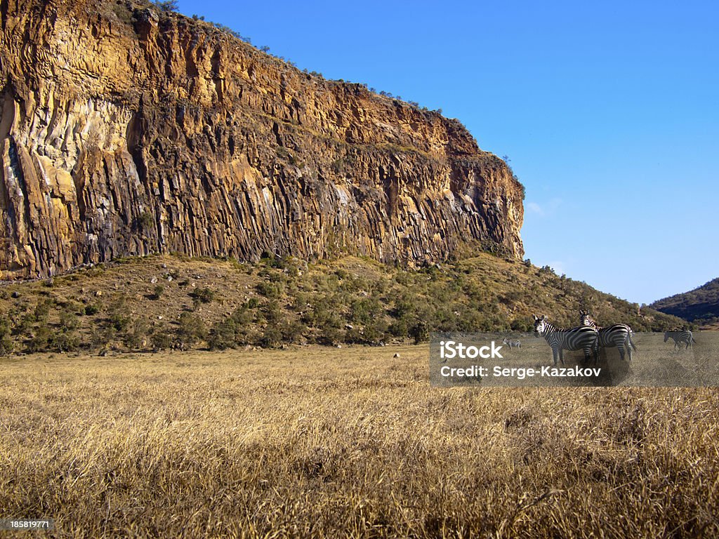 Two zebras stand in background of the canyon Two zebras stand in the background of the canyon with blue sky Africa Stock Photo