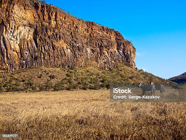 Two Zebras Stand In Background Of The Canyon Stock Photo - Download Image Now - Africa, Animal, Animal Wildlife