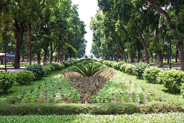 istock Lenin park in Hanoi 185819808