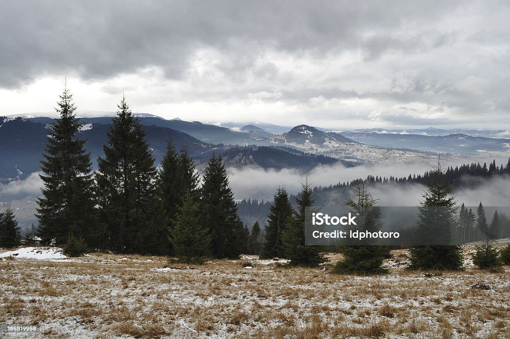 Journée d'hiver dans les montagnes - Photo de Arbre libre de droits