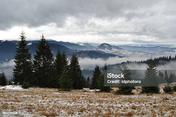 Photo libre de droit de Journée Dhiver Dans Les Montagnes banque d'images et plus d'images libres de droit de Arbre - Arbre, Arbre à feuilles persistantes, Beauté