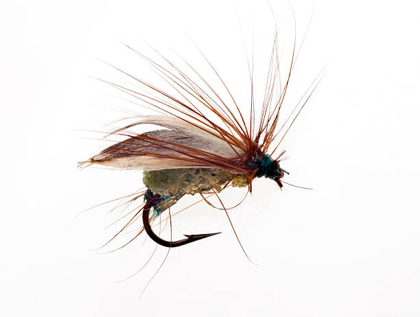 istock Fly Fishing Lure 185819971