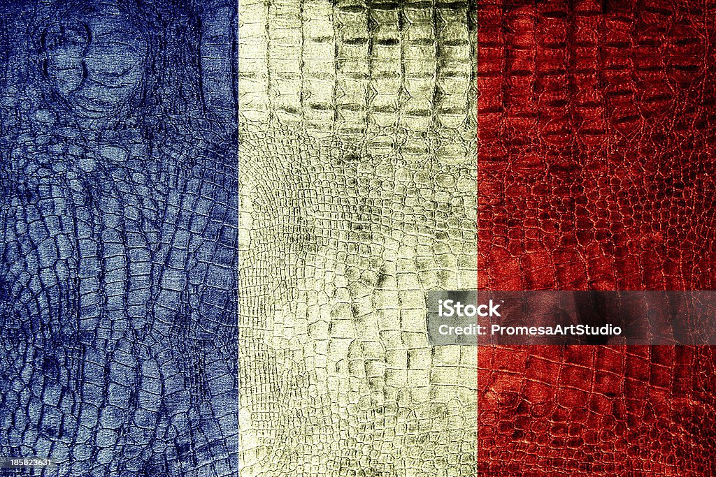 Francés bandera pintado en textura de cocodrilo de lujo - Foto de stock de Anticuado libre de derechos