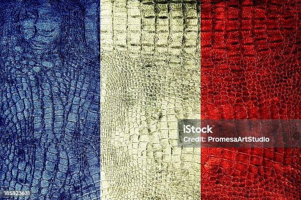 Francés Bandera Pintado En Textura De Cocodrilo De Lujo Foto de stock y más banco de imágenes de Anticuado