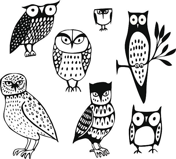 Seven Owls A set of owls each with their own personality owl illustrations stock illustrations