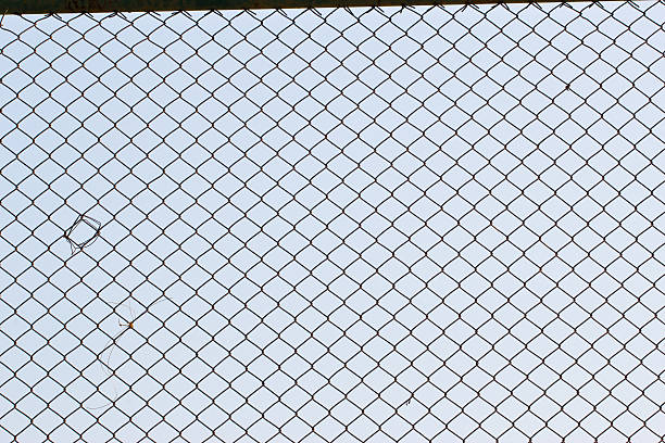 istock Metal mesh wire fence with blur sky background 185824070