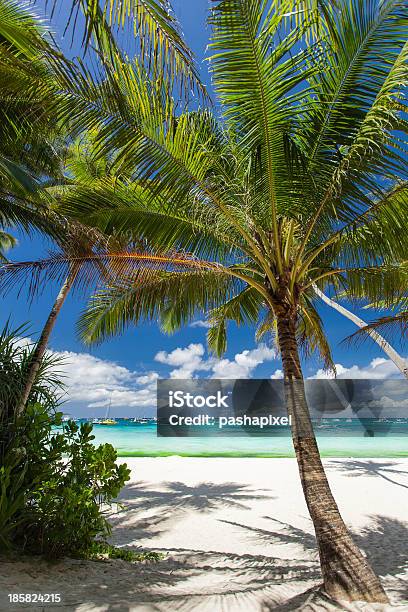 Tropikalna Plaża Z Białym Piaskiem - zdjęcia stockowe i więcej obrazów Bez ludzi - Bez ludzi, Boracay, Drewno - Tworzywo