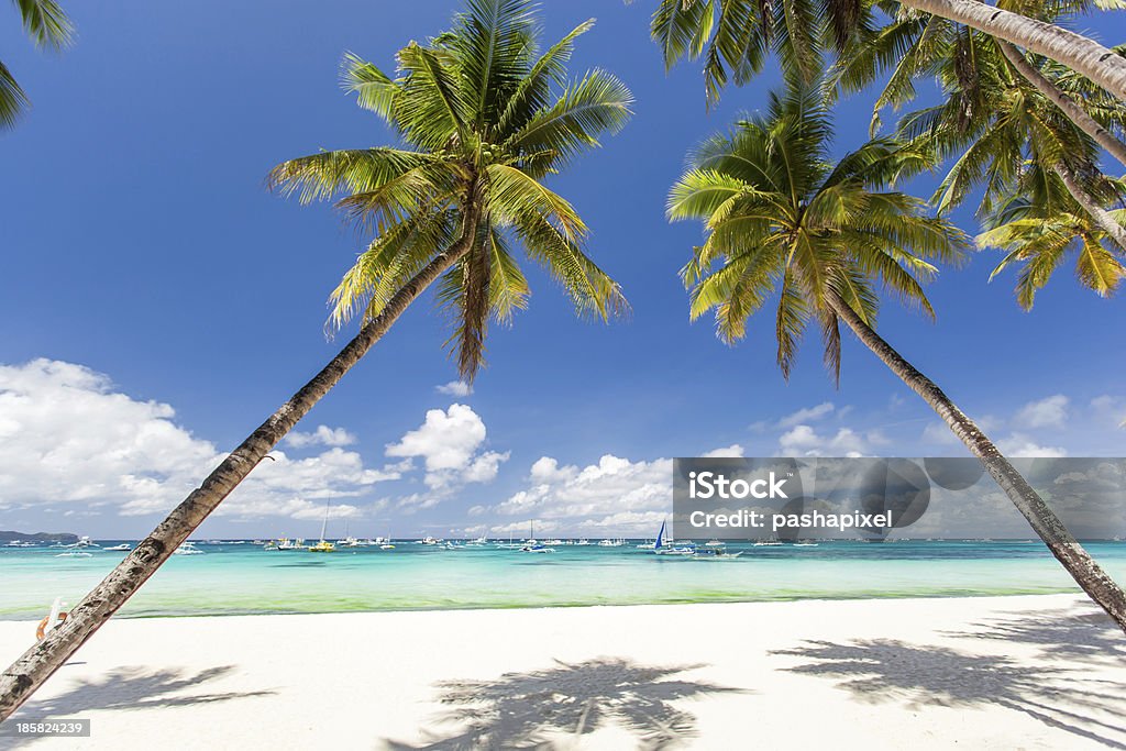 Playa Tropical con palmeras y las hermosas arenas blancas - Foto de stock de Aire libre libre de derechos