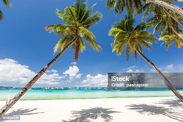 Playa Tropical Con Palmeras Y Las Hermosas Arenas Blancas Foto de stock y más banco de imágenes de Aire libre