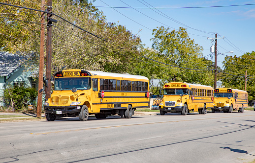 Boerne, USA - November 2, 2023: school busses on the way in Boerne, Texas, USA. School busses are free for pupils in the USA.