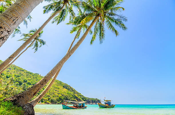 istock Coconut trees by the beautiful beach at Nam Du Islands 185825773