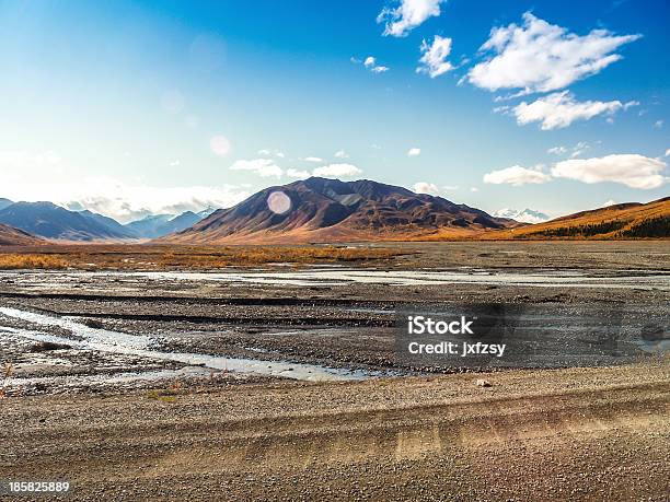 Denali National Park Stock Photo - Download Image Now - Alaska - US State, Alaskan Culture, Arctic