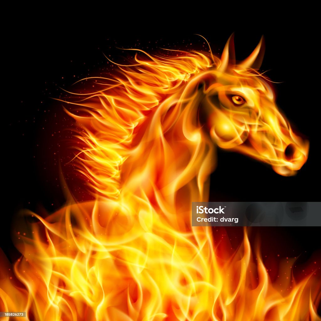 Fire horse. Head of horse in fire on black background. Flame stock vector