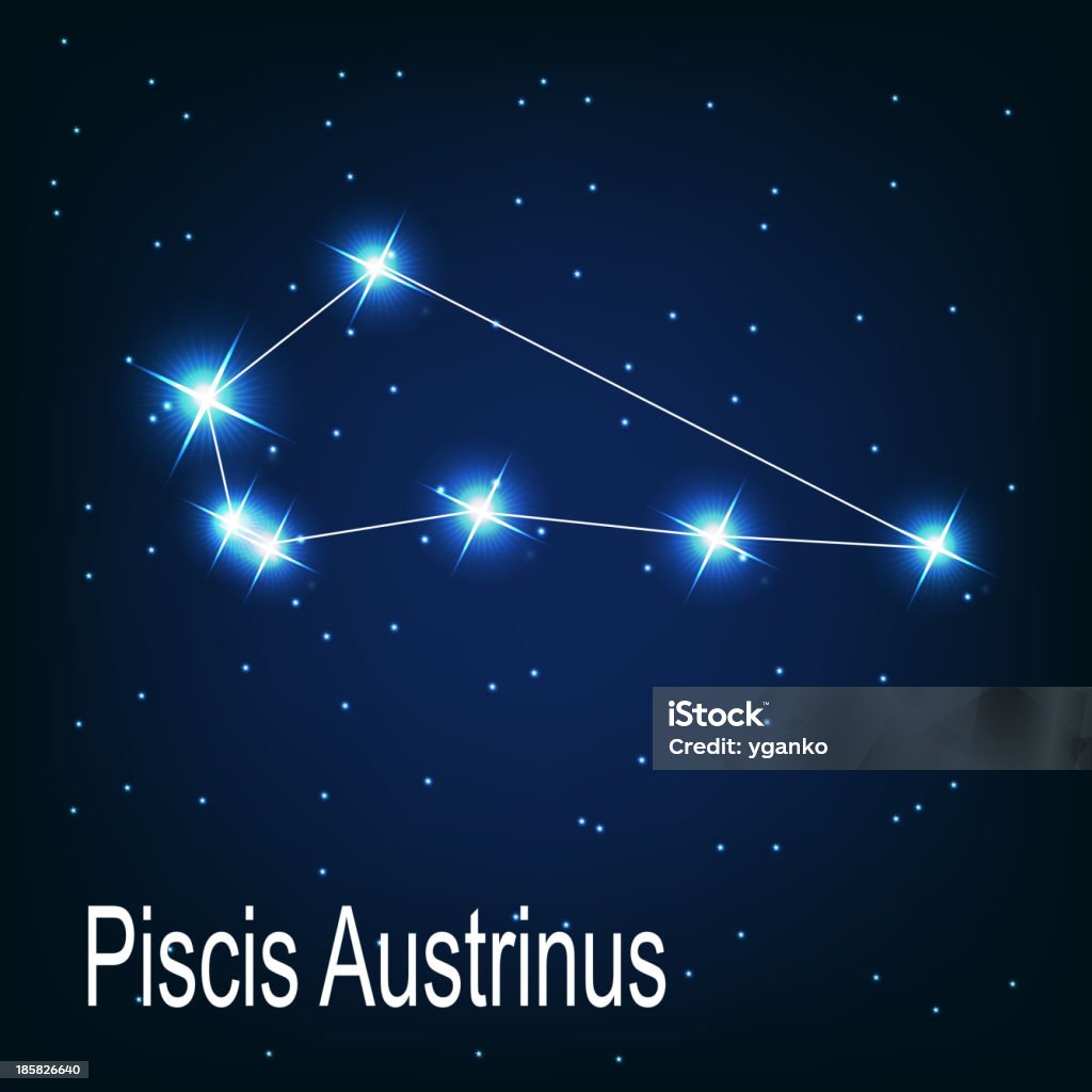 「constellation 」Piscis Austrinus 「星の夜の空。 Vect - イラストレーションのロイヤリティフリーベクトルアート