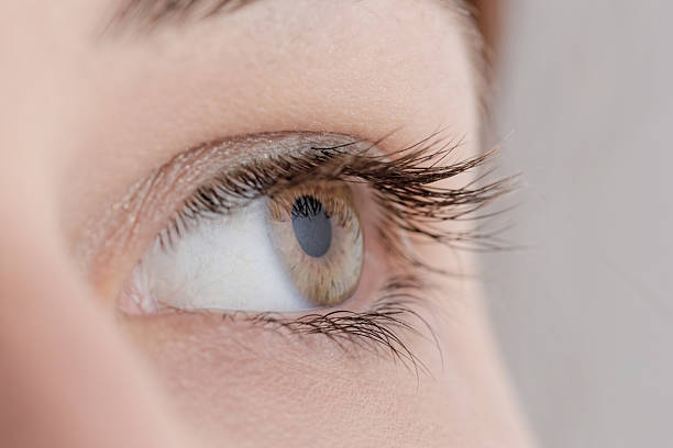 istock pretty lady wearing makeup for eyes 185826773