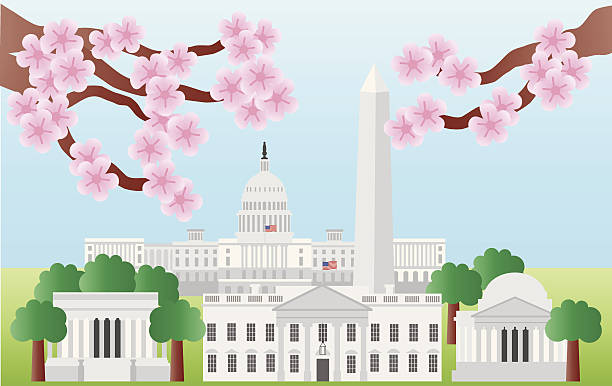 illustrazioni stock, clip art, cartoni animati e icone di tendenza di monumenti di washington dc con fiori di ciliegio vettoriale illustrazione - cherry blossom cherry tree tree washington dc