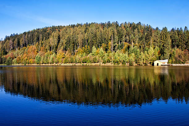 istock Lake with reflection of autumn 185828152