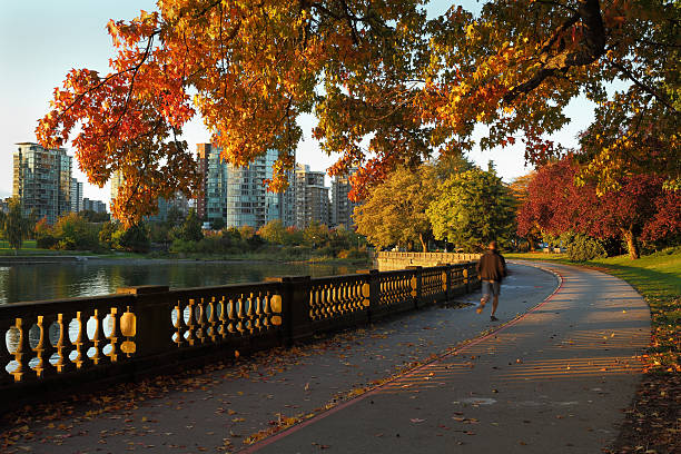 istock Morning Jog, Stanley Park, Vancouver 185828975