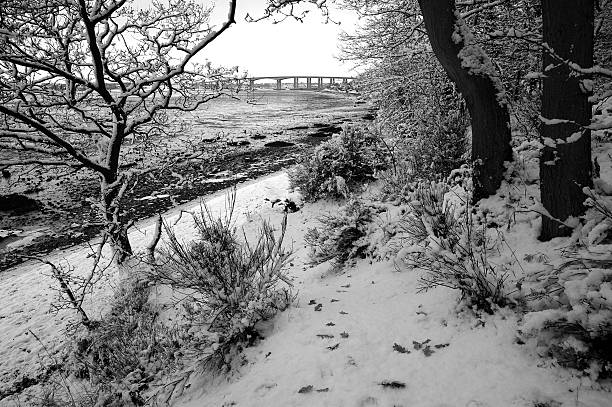 solitário caminho para a ponte na neve - river orwell imagens e fotografias de stock