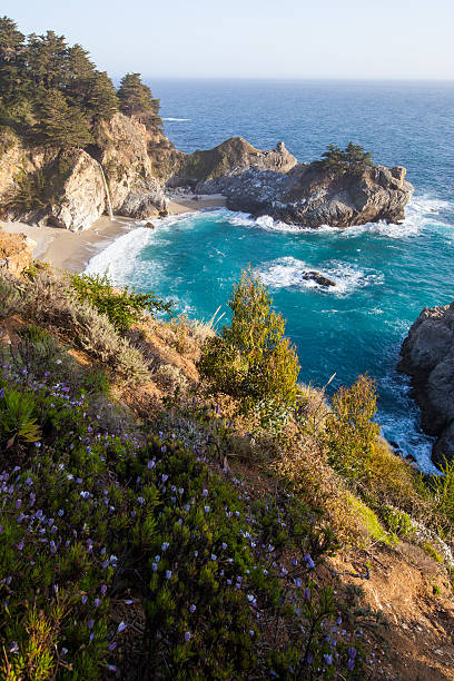 istock California coast in spring - Mcway falls with wild flowers 185829423