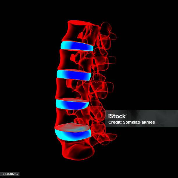 3 D Rendering Illustrazionelombare Vista Laterale - Fotografie stock e altre immagini di Anatomia umana