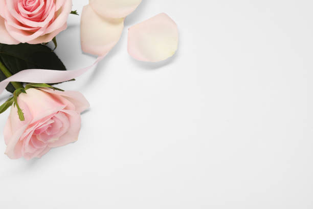 istock Beautiful roses, ribbon and petals on white background, flat lay. Space for text 1858313783