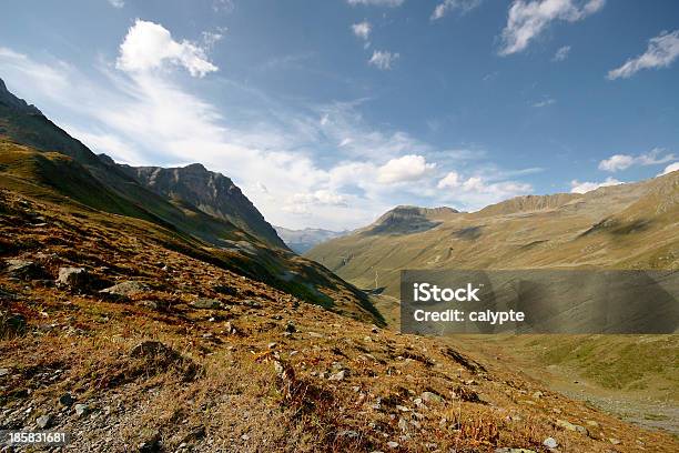 Gras Bergwiese Umgeben Von Bergen In Schweizer Alpen Stockfoto und mehr Bilder von Alpen