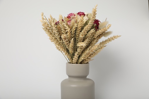 Beautiful bouquet of dry flowers in ceramic vase on white background
