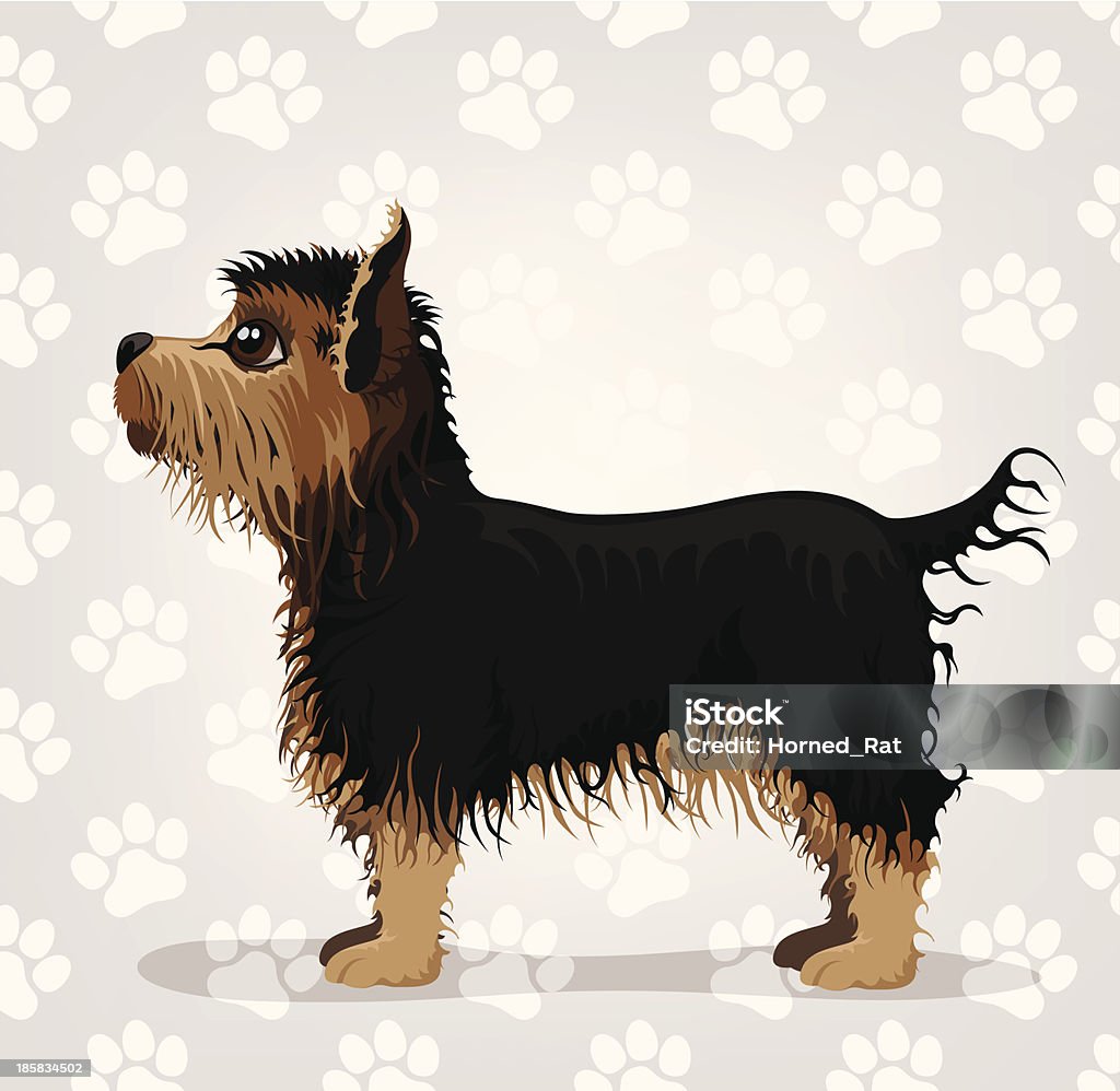 Terrier de Yorkshire - arte vectorial de Terrier de Yorkshire libre de derechos