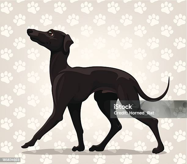 Greyhound Italiano - Arte vetorial de stock e mais imagens de Greyhound Italiano - Greyhound Italiano, Amizade, Animal