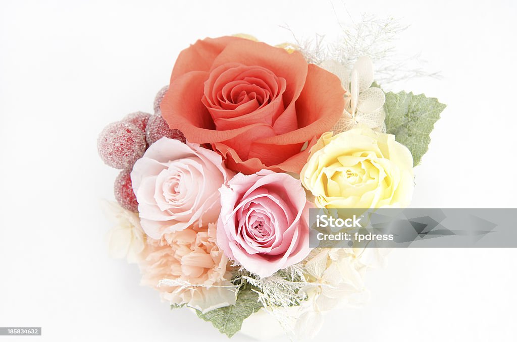 Conservado flores - Foto de stock de Accesorio personal libre de derechos