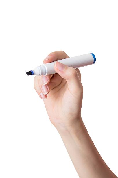 istock Hand with blue marker isolated over white 185834810
