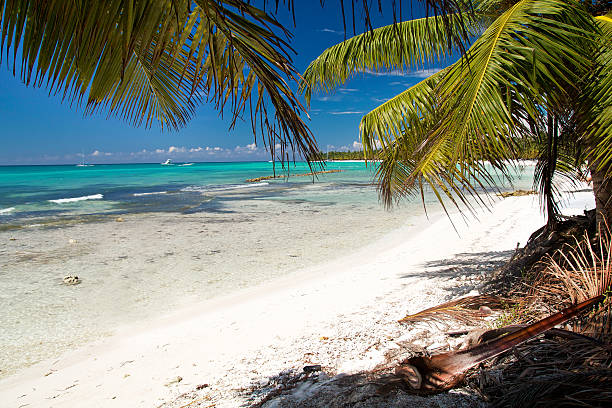 istock Caribbean sea lagoon 185834972