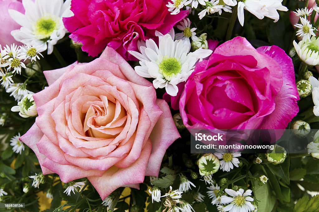 Vermelho e Rosa rosas - Royalty-free Amor Foto de stock