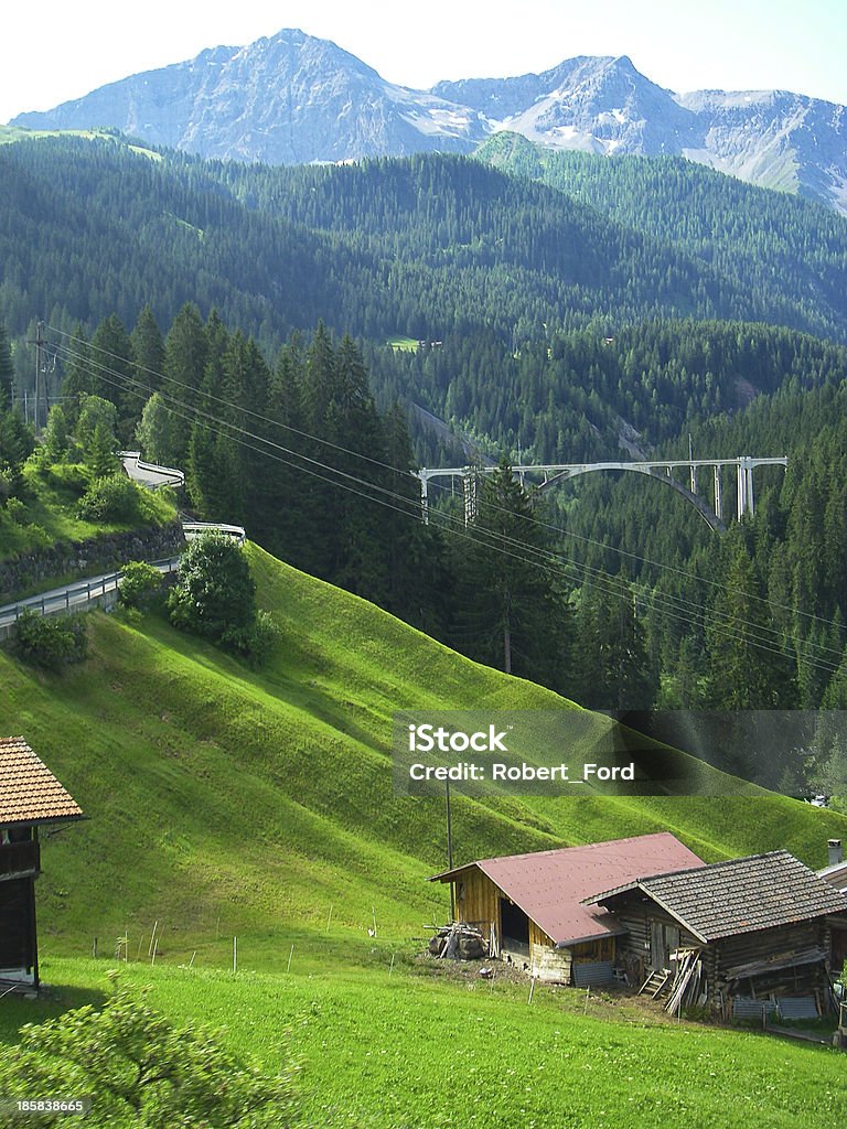 Alpine Meadows and Barn Swiss Alps near Arosa Switzerland High alpine pastures and chalets in the Italian Alps of Switzerland along the rail line to the Arosa Resort showing a major bridge over a deep canyon and below high glaciated peaks above dense evergreen forests.  In the foreground is a classic swiss barn and chalet in the very green alpine meadow or pasture. Agricultural Field Stock Photo