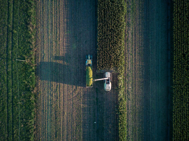 istock aerial view corn harvester chop green silage for cattle blown to wagon pulled by tractor in field 1858402150