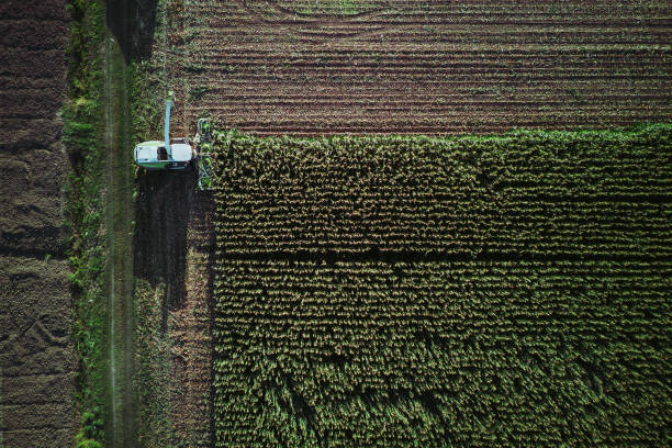 istock aerial view corn harvester chop green silage for cattle blown to wagon pulled by tractor in field 1858402156