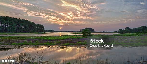 Nascer Do Sol De Chincoteague - Fotografias de stock e mais imagens de Ilha de Chincoteague - Ilha de Chincoteague, Pónei Chincoteague, Reserva nacional de Chincoteague