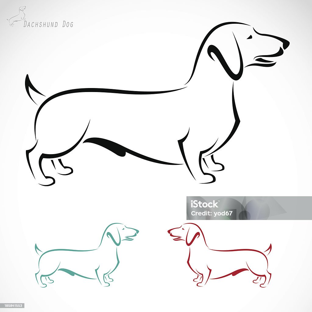 Vector image of an dog (Dachshund) Vector image of an dog (Dachshund) on a white background Dachshund stock vector
