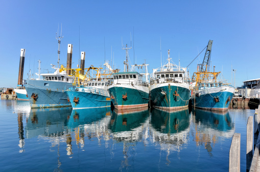 Trawlers Moored at Fremantle Fishing Harbour on a Clear Winter Day, Western Australia