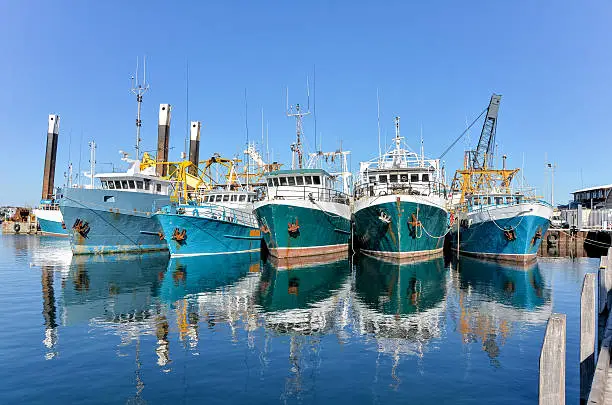 Photo of Trawlers in a Harbour